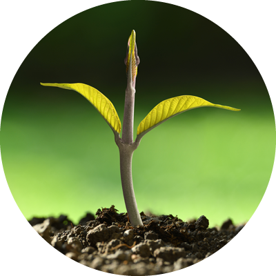 Biofertilizantes<br>ㅤ