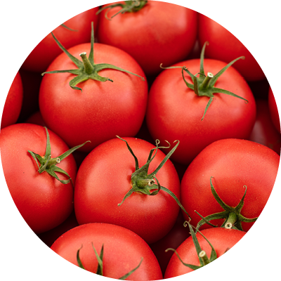Engordadores <br>de frutos