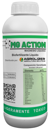 MG_ACTION