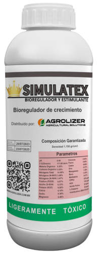 SIMULATEX